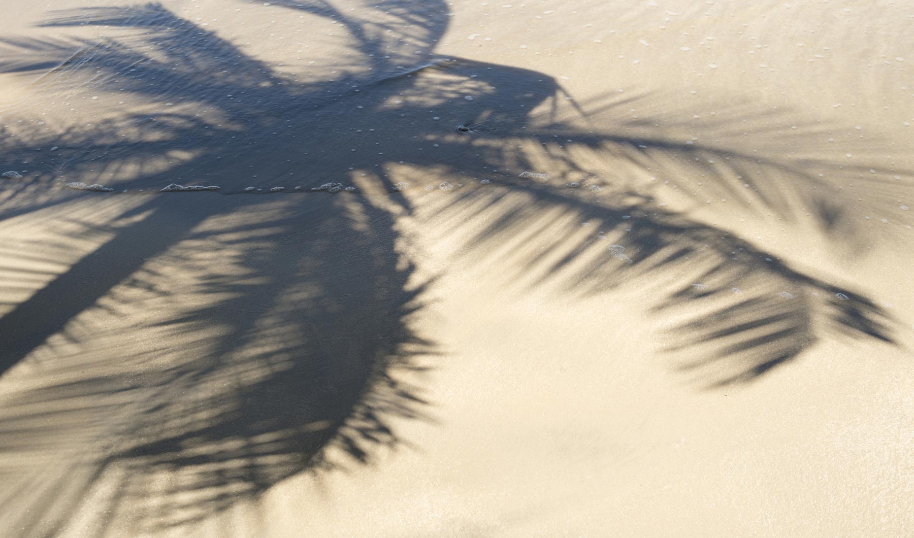 Le notti di Cannes prendono vita